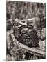 Train Arrival III-David Drost-Mounted Photographic Print