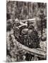 Train Arrival III-David Drost-Mounted Photographic Print