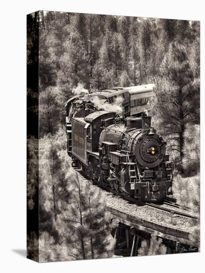 Train Arrival III-David Drost-Stretched Canvas