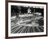 Train Arriving at Switching Station-null-Framed Photographic Print