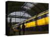 Train at Central Station, Amsterdam, Netherlands-Keren Su-Stretched Canvas