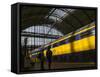 Train at Central Station, Amsterdam, Netherlands-Keren Su-Framed Stretched Canvas