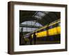 Train at Central Station, Amsterdam, Netherlands-Keren Su-Framed Photographic Print