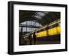 Train at Central Station, Amsterdam, Netherlands-Keren Su-Framed Photographic Print