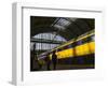 Train at Central Station, Amsterdam, Netherlands-Keren Su-Framed Photographic Print