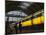 Train at Central Station, Amsterdam, Netherlands-Keren Su-Mounted Photographic Print