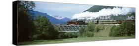 Train, Bohinjska Bistrica, Slovenia-null-Stretched Canvas