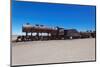 Train Boneyard, Salar De Uyuni, Bolivia, South America-Guido Amrein-Mounted Photographic Print