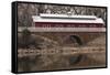 Train Bridge, Kansas, USA-Michael Scheufler-Framed Stretched Canvas