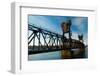 Train Bridge-Scruggelgreen-Framed Photographic Print