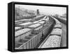 Train Cars Holding Coal Supplies-null-Framed Stretched Canvas