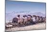 Train Cemetery (Cementerio De Trenes), an Abandoned Train-Kim Walker-Mounted Photographic Print