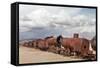 Train Cemetery, Uyuni, Bolivia-zanskar-Framed Stretched Canvas