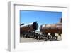 Train Cemetery-xolct-Framed Photographic Print