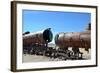 Train Cemetery-xolct-Framed Photographic Print