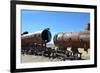 Train Cemetery-xolct-Framed Photographic Print