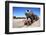 Train Cemetery-tkv-Framed Photographic Print