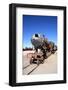 Train Cemetery-tkv-Framed Photographic Print