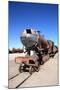 Train Cemetery-tkv-Mounted Photographic Print