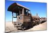 Train Cemetery-tkv-Mounted Photographic Print