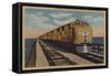 Train- Crossing Great Salt Lake, Ogden, Utah - Ogden, UT-Lantern Press-Framed Stretched Canvas