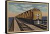 Train- Crossing Great Salt Lake, Ogden, Utah - Ogden, UT-Lantern Press-Framed Stretched Canvas