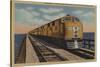 Train- Crossing Great Salt Lake, Ogden, Utah - Ogden, UT-Lantern Press-Stretched Canvas