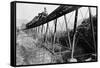 Train Crossing Railroad Trestle-null-Framed Stretched Canvas