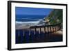 Train Crossing River on Trestle Bridge-Charles O'Rear-Framed Photographic Print