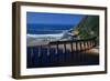 Train Crossing River on Trestle Bridge-Charles O'Rear-Framed Photographic Print