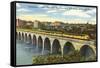 Train Crossing Stone Arch Bridge, Minneapolis, Minnesota-null-Framed Stretched Canvas