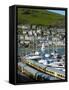 Train, Dartmouth Harbour, Devon, England, United Kingdom, Europe-Charles Bowman-Framed Stretched Canvas