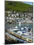 Train, Dartmouth Harbour, Devon, England, United Kingdom, Europe-Charles Bowman-Mounted Photographic Print