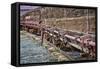 Train Details II-Kathy Mahan-Framed Stretched Canvas