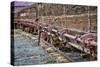 Train Details II-Kathy Mahan-Stretched Canvas