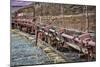 Train Details II-Kathy Mahan-Mounted Art Print