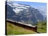 Train for Jungfraujoch, Kleine Scheidegg, Bernese Oberland, Swiss Alps, Switzerland, Europe-Richardson Peter-Stretched Canvas