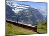 Train for Jungfraujoch, Kleine Scheidegg, Bernese Oberland, Swiss Alps, Switzerland, Europe-Richardson Peter-Mounted Photographic Print