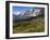 Train from Grindelwald on Route to Kleine Scheidegg, Bernese Oberland, Swiss Alps, Switzerland-Richardson Peter-Framed Photographic Print