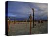 Train Graveyard, Uyuni, Bolivia, South America-Colin Brynn-Stretched Canvas