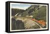 Train in Glacier Park, Montana-null-Framed Stretched Canvas