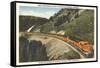 Train in Glacier Park, Montana-null-Framed Stretched Canvas