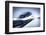 Train in Motion, Monochromatic-rihardzz-Framed Photographic Print