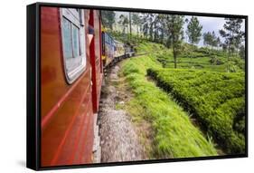 Train Journey Through Tea Plantations-Matthew Williams-Ellis-Framed Stretched Canvas
