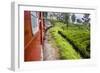 Train Journey Through Tea Plantations-Matthew Williams-Ellis-Framed Photographic Print