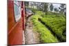 Train Journey Through Tea Plantations-Matthew Williams-Ellis-Mounted Photographic Print