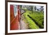 Train Journey Through Tea Plantations-Matthew Williams-Ellis-Framed Photographic Print