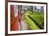 Train Journey Through Tea Plantations-Matthew Williams-Ellis-Framed Photographic Print