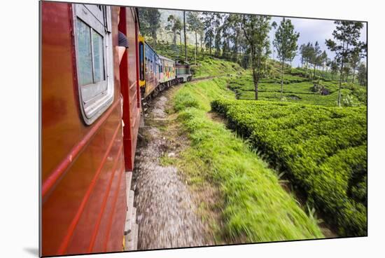 Train Journey Through Tea Plantations-Matthew Williams-Ellis-Mounted Photographic Print