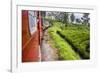 Train Journey Through Tea Plantations-Matthew Williams-Ellis-Framed Photographic Print